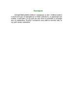 Referāts 'Kriminālā situācija', 9.