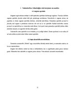 Referāts 'Zemnieku saimniecības "Bitītes" gaļas liellopu barības bāzes audzēšanas tehnoloģ', 11.