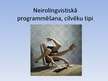 Referāts 'Neirolingvistiskā programmēšana, cilvēku tipi', 33.