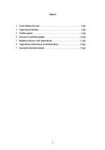 Referāts 'Organizēšanas loma menedžmentā', 2.
