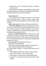 Referāts 'Organizēšanas loma menedžmentā', 4.
