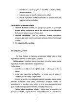 Referāts 'Organizēšanas loma menedžmentā', 8.