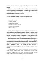Referāts 'Organizēšanas loma menedžmentā', 11.
