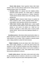 Referāts 'Organizēšanas loma menedžmentā', 12.