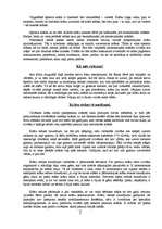 Referāts 'Krāsu uztvere', 5.