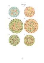 Referāts 'Krāsu uztvere', 13.