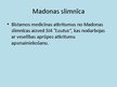 Prezentācija 'Bīstamo atkritumu apsaimniekošana Madonā', 5.