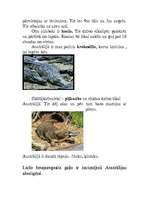 Referāts 'Austrālija', 9.