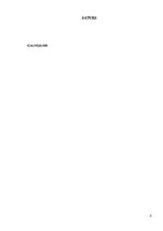 Paraugs 'Uzņēmējdarbības formas un to salīdzinošā analīze', 2.