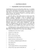 Paraugs 'Uzņēmējdarbības formas un to salīdzinošā analīze', 4.