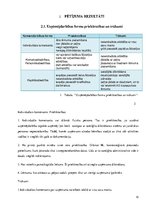 Paraugs 'Uzņēmējdarbības formas un to salīdzinošā analīze', 12.