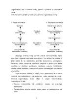 Referāts 'Sistēmu teorija', 5.