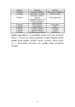 Referāts 'Sistēmu teorija', 13.