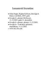 Referāts 'Gliemji', 9.