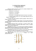 Referāts 'Muguras jostas daļas sāpēs, ārstēšana un profilakse', 5.