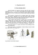 Referāts 'Muguras jostas daļas sāpēs, ārstēšana un profilakse', 6.
