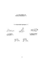 Referāts 'Muguras jostas daļas sāpēs, ārstēšana un profilakse', 12.