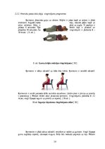 Referāts 'Muguras jostas daļas sāpēs, ārstēšana un profilakse', 16.