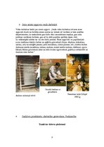 Prezentācija 'Senās vides darbnīca', 2.