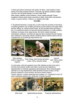 Prezentācija 'Senās vides darbnīca', 3.