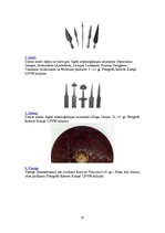 Prezentācija 'Senās vides darbnīca', 6.