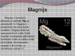 Prezentācija 'Magnija, nātrija un kālija ietekme uz cilvēka organismu', 3.