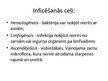 Prezentācija 'Hroniskas nieru slimības', 4.