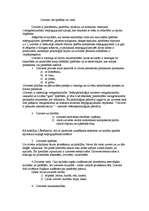 Referāts 'Uztvere, tās īpašības un veidi', 1.