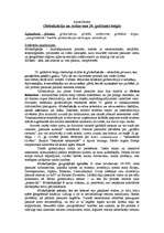 Konspekts 'Globalizācija un saskarsme 20.gadsimta beigās', 1.