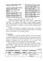 Biznesa plāns 'SIA "Mazais pīlādzītis" - bērnu estētikas skola', 10.