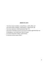 Biznesa plāns 'SIA "Mazais pīlādzītis" - bērnu estētikas skola', 30.