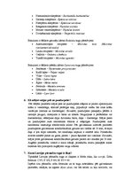 Konspekts 'Jautājumi un atbildes par zīdītājiem', 2.