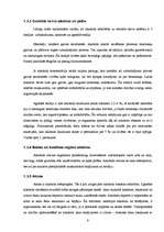 Referāts 'Alkohola pieejamība nepilngadīgiem jauniešiem Salaspilī', 9.