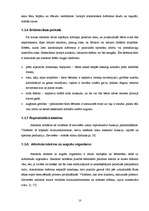 Referāts 'Alkohola pieejamība nepilngadīgiem jauniešiem Salaspilī', 10.