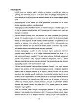 Referāts 'Alkohola pieejamība nepilngadīgiem jauniešiem Salaspilī', 29.