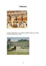 Referāts 'Kristiešu vajāšanas', 16.