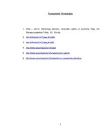 Referāts 'Socionika', 7.