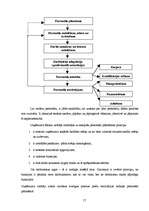 Referāts 'Personāla vadīšana un tās funkcijas', 17.