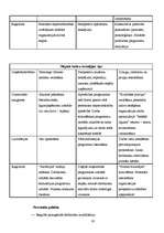Referāts 'Personāla vadīšana un tās funkcijas', 20.