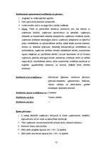 Referāts 'Personāla vadīšana un tās funkcijas', 33.