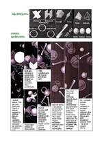 Konspekts 'Zemes rašanās', 4.