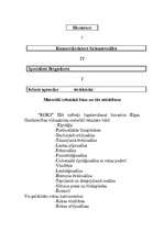 Biznesa plāns 'Biznesa plāns SIA "Mēbele"', 6.