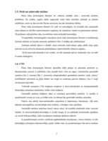 Konspekts 'Neiznēsāts bērns. Fizioloģija, ēdināšana, aprūpes īpatnības', 5.