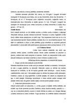 Referāts 'Ceļu būves firmas "A.C.B." mārketinga darbība', 17.