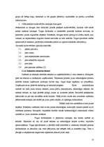 Referāts 'Ceļu būves firmas "A.C.B." mārketinga darbība', 18.