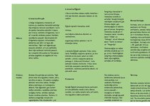 Konspekts 'Senie laiki', 4.