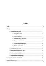 Referāts 'Uzņēmuma darbību ietekmējošie faktori', 5.