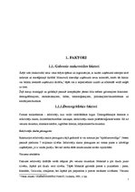Referāts 'Uzņēmuma darbību ietekmējošie faktori', 7.