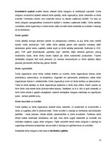 Referāts 'Uzņēmuma darbību ietekmējošie faktori', 18.