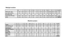 Biznesa plāns 'SIA “Mazā Māra”', 13.